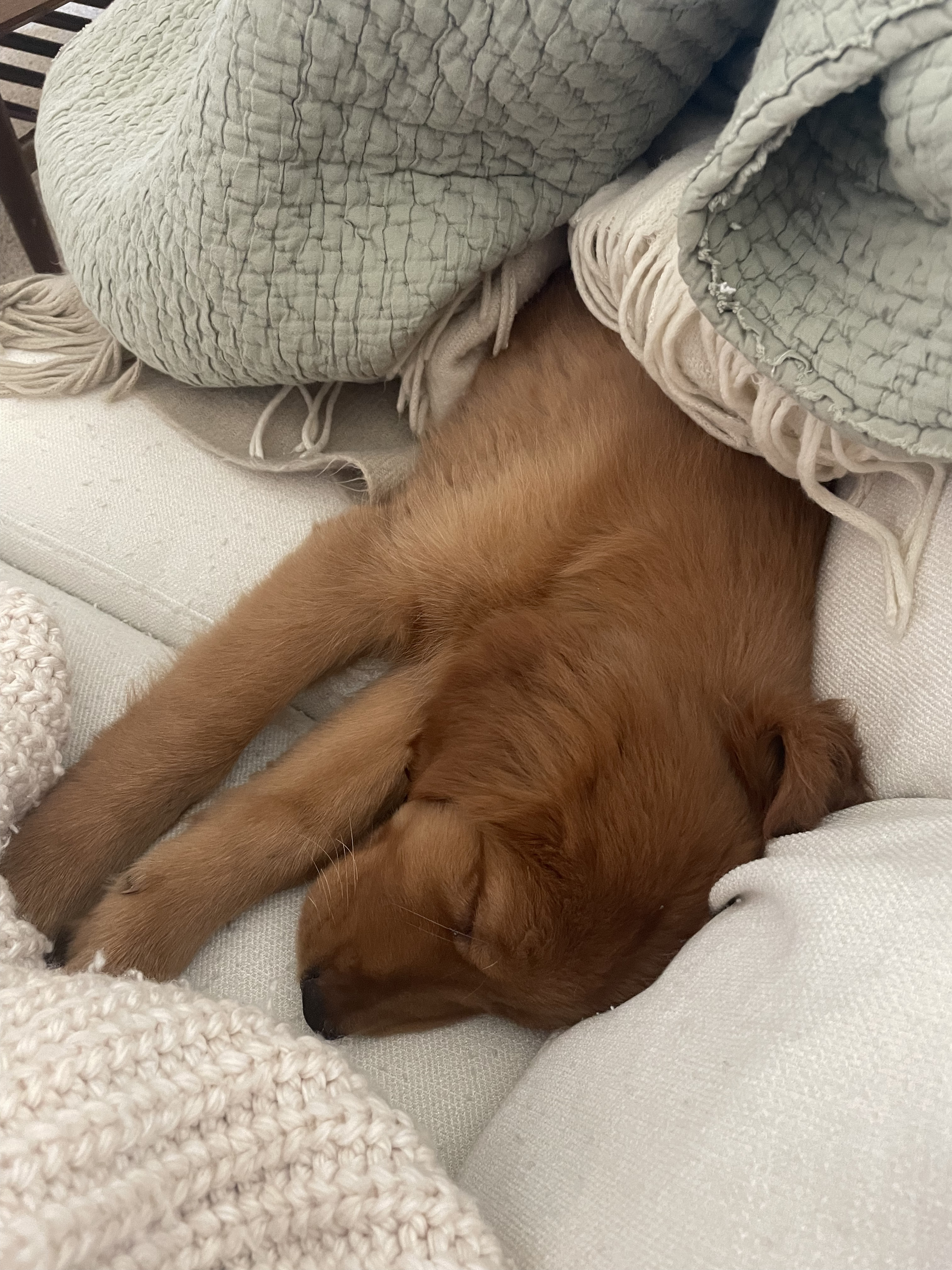 Maria napping